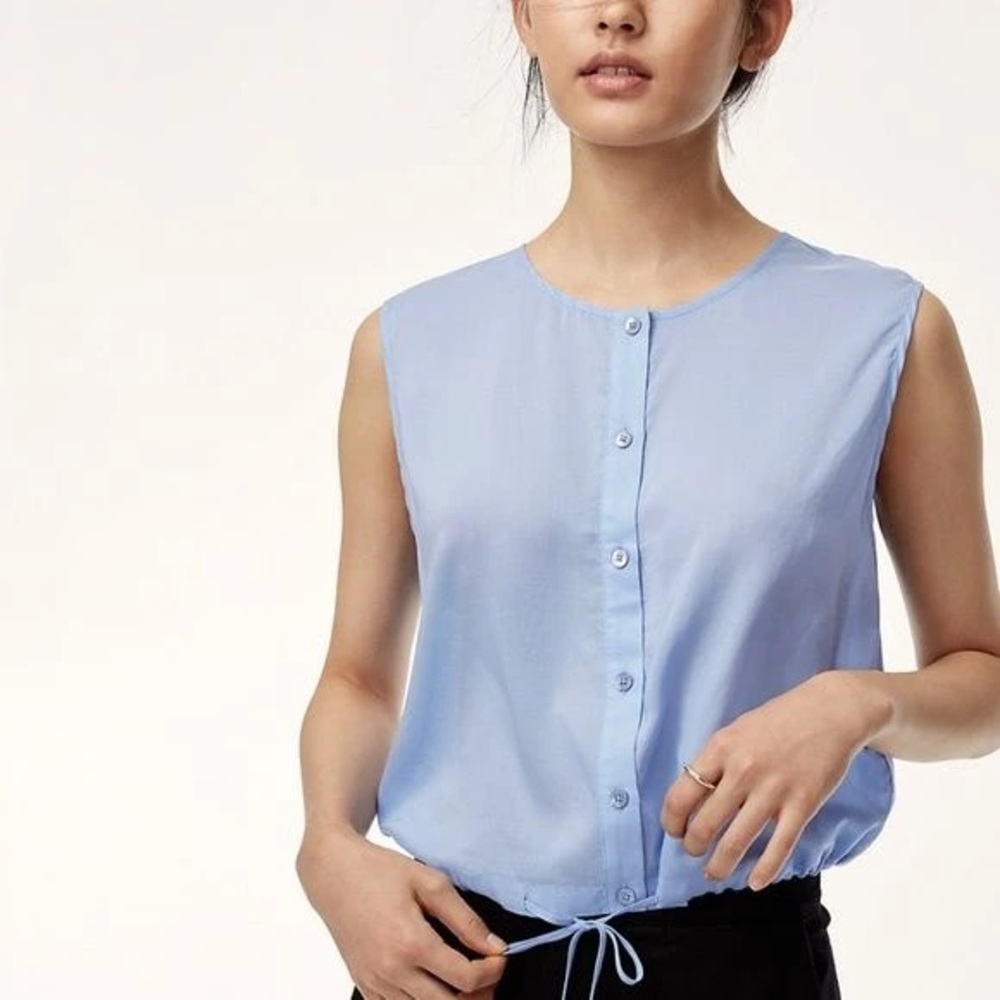 Aritzia The Group by Babaton Candin Blouse